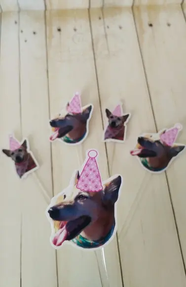 Topper para Docinhos Pet Cachorro com Foto e Chapeuzinho 30u