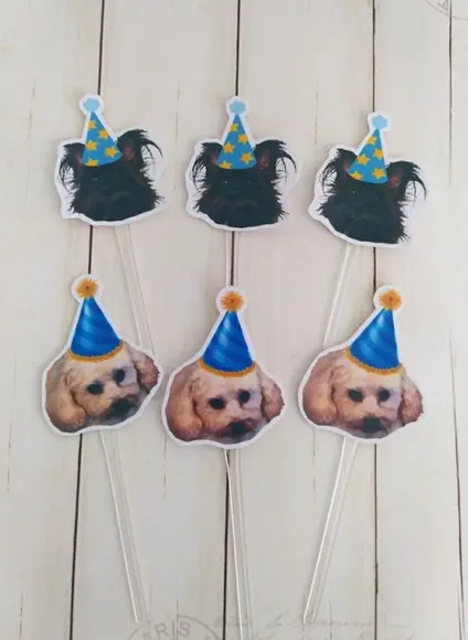 Topper para Docinhos Pet com Foto e Chapeuzinho