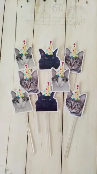 Topper para Docinhos Pet Gato com Foto 30 Unid