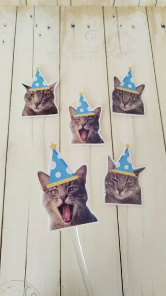 Topper para Docinhos Pet Gato Bento com Foto 30 Unid