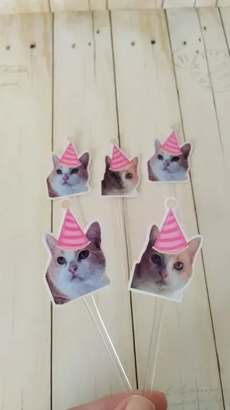 Topper para Docinhos Pet Gato com Foto 30 Unid