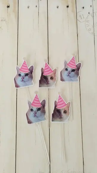 Topper para Docinhos Pet Gato com Foto 30 Unid