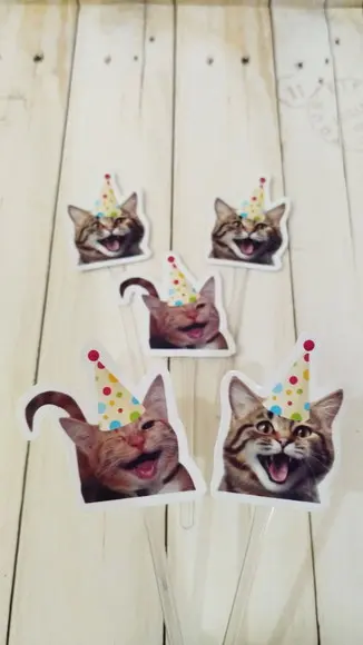Topper para Docinhos Pet Gatos Divertidos com Foto 30 Unid
