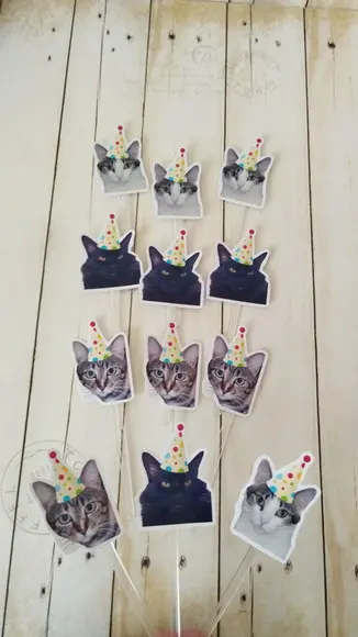 Topper para Docinhos Pet Gato com Foto 30 Unid