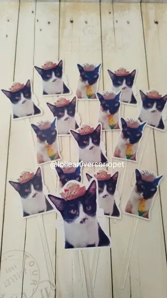 Topper para Docinhos Pet Gato Junino com Foto 30 Unid