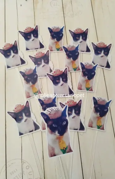 Topper para Docinhos Pet Gato Junino com Foto 30 Unid