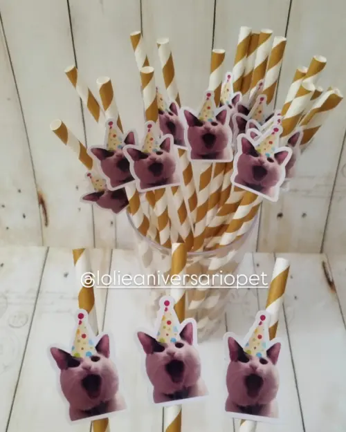 Canudo com Foto e Chapeuzinho Pet Gato