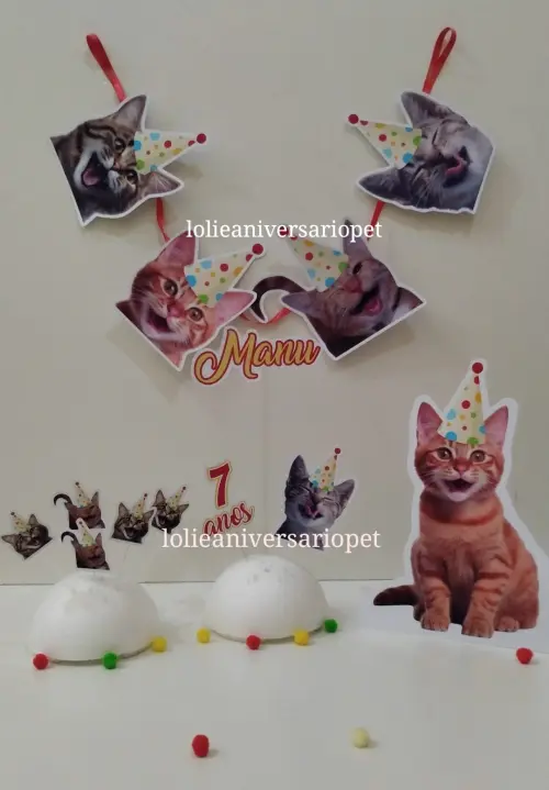 Kit Bandeirola com Foto, Topper e Display com Foto Gato