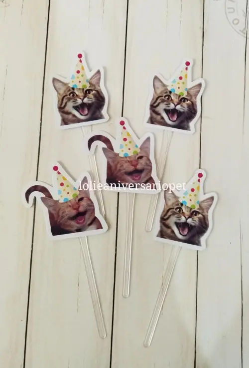 Kit Bandeirola com Foto, Topper e Display com Foto Gato