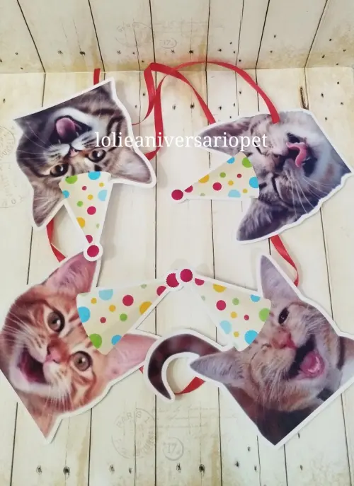 Kit Bandeirola com Foto, Topper e Display com Foto Gato