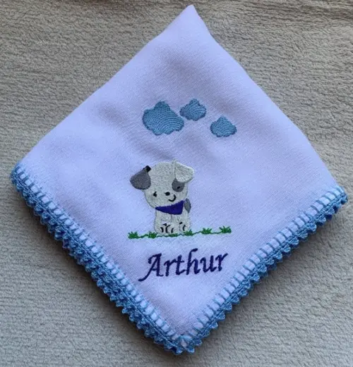 Kit Fraldas Bordada Personalizadas Passeio
