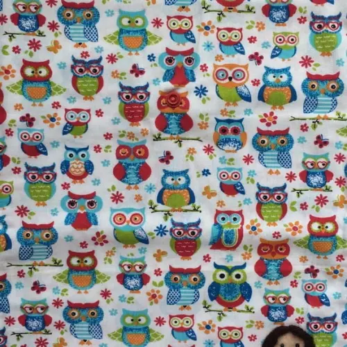 Porta Jaleco Dupla Face Branco com Corujinhas