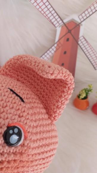 Porquinho Amigurumi Personalizado