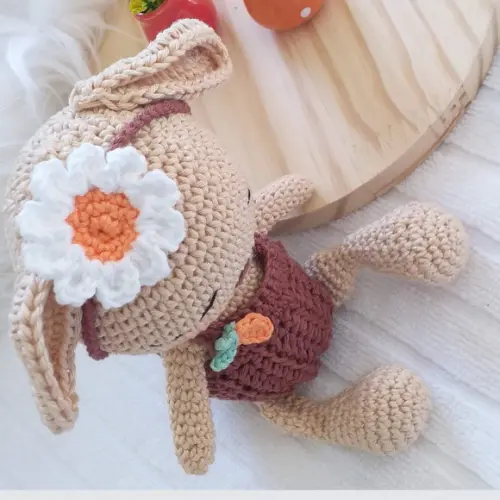 Coelha Amigurumi Personalizada