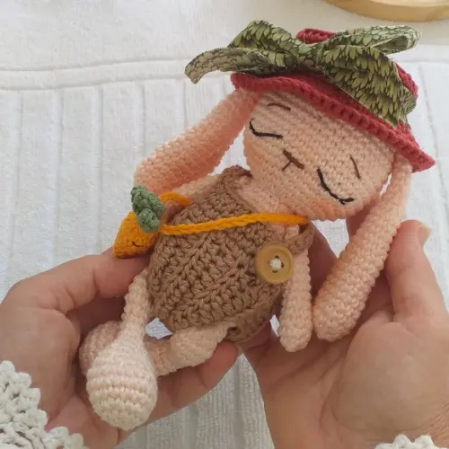 Coelho Amigurumi Personalizado