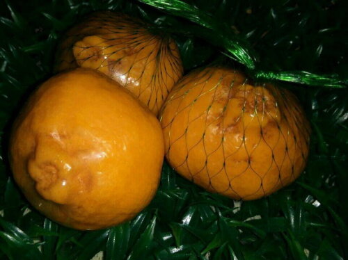 Sabonete Tangerina
