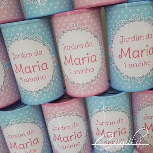 Cofrinho Personalizado Rosa e Azul