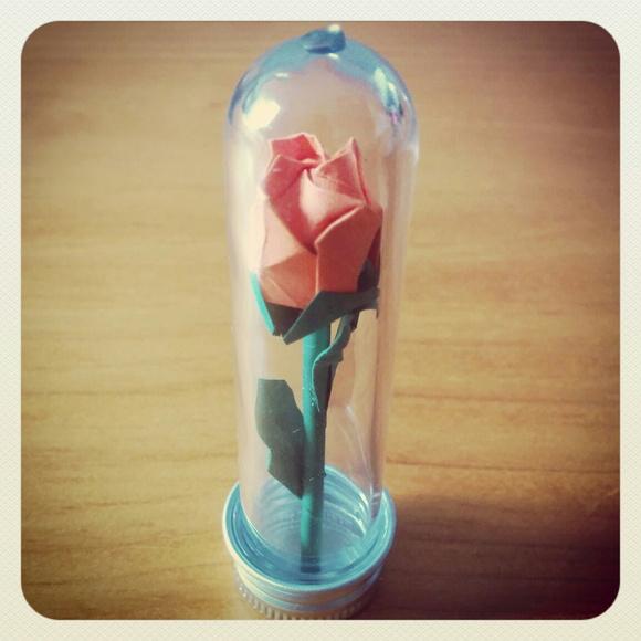 Mini Rosa no Tubinho