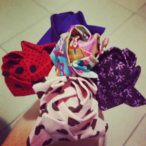 Rosas de Kawasaki