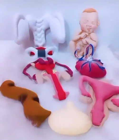 Corpo Humano