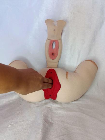 Órgão Feminino em Feltro