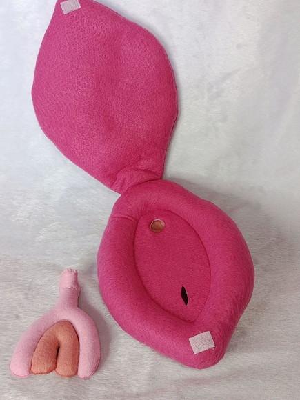 Órgão Genital Feminino em Feltro