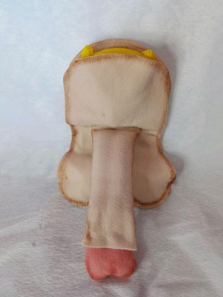 Órgão Sexual Masculino