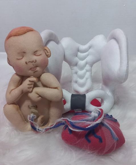 Pelve com Bebê Didático