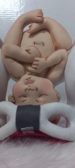 Pelve com Bebê Didático