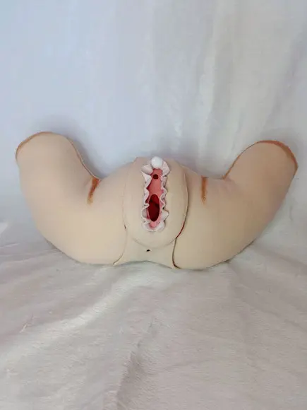 Órgão Feminino em Feltro