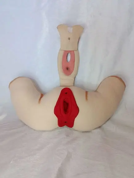Órgão Feminino em Feltro