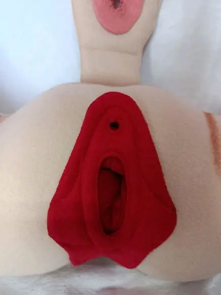 Órgão Feminino em Feltro