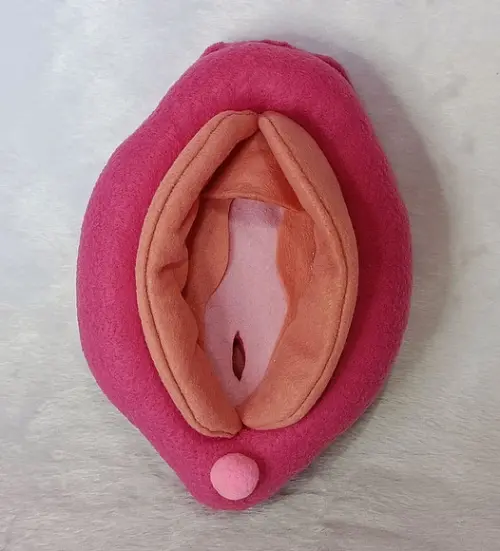 Órgão Genital Feminino em Feltro