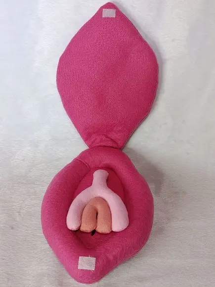 Órgão Genital Feminino em Feltro