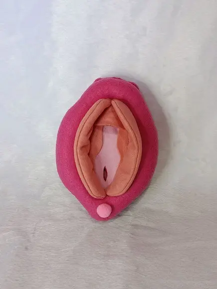 Órgão Genital Feminino em Feltro