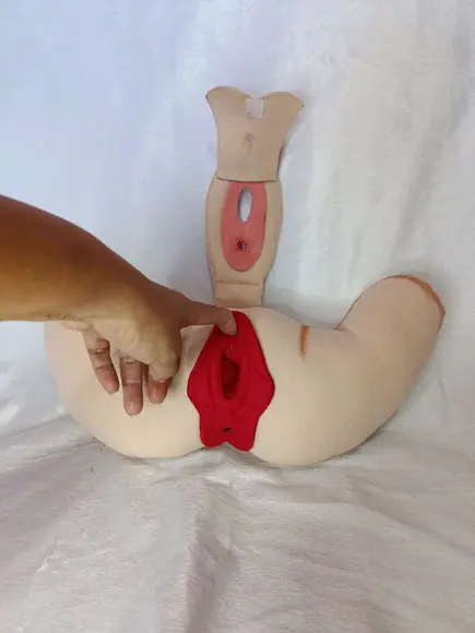 Órgão Feminino em Feltro