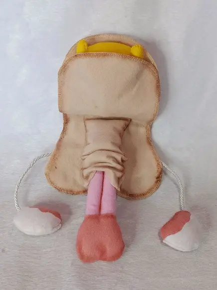 Órgão Sexual Masculino