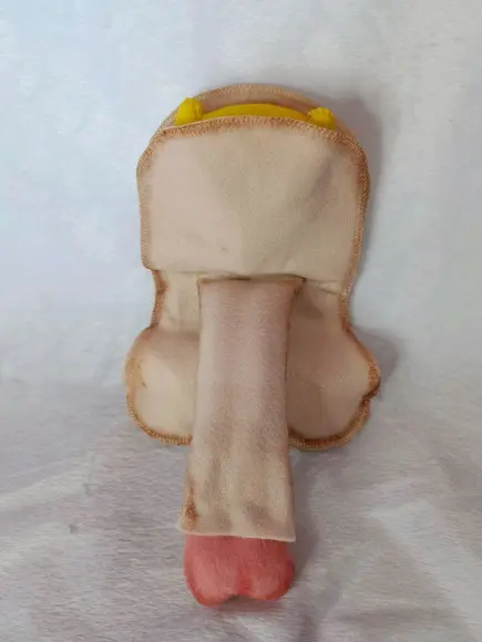 Órgão Sexual Masculino