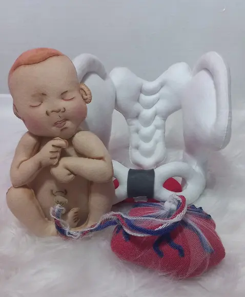 Pelve com Bebê Didático