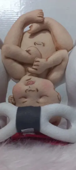 Pelve com Bebê Didático
