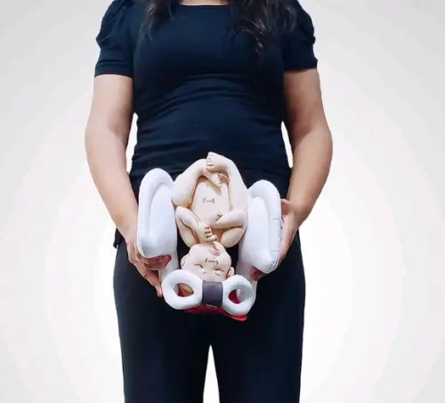 Pelve com Bebê Didático