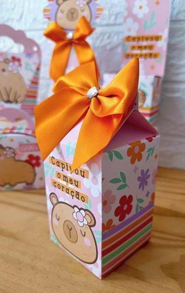 Kit 20 Peças Básico Capivara com Laços
