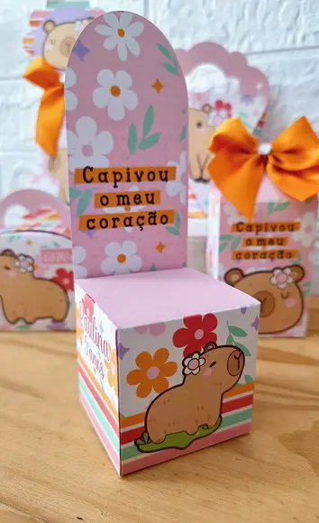 Kit 20 Peças Básico Capivara com Laços