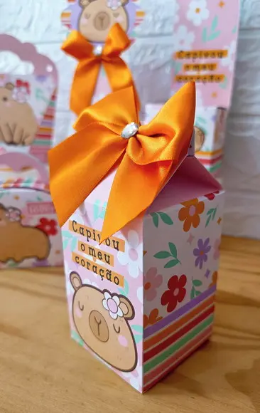 Kit 20 Peças Básico Capivara com Laços