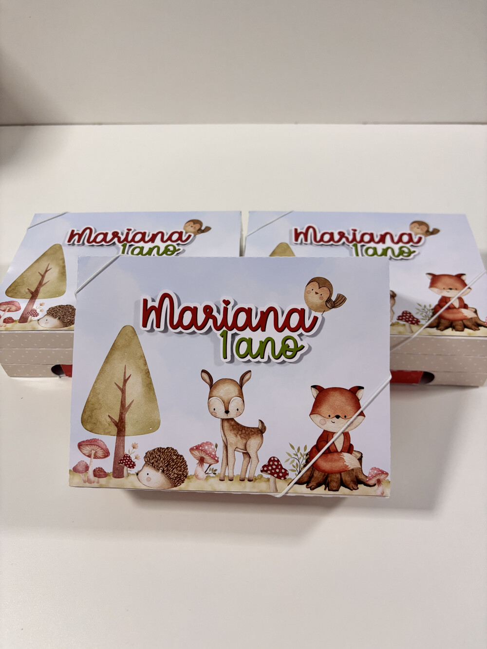 Kit Diversão Bosque Encantado Menina