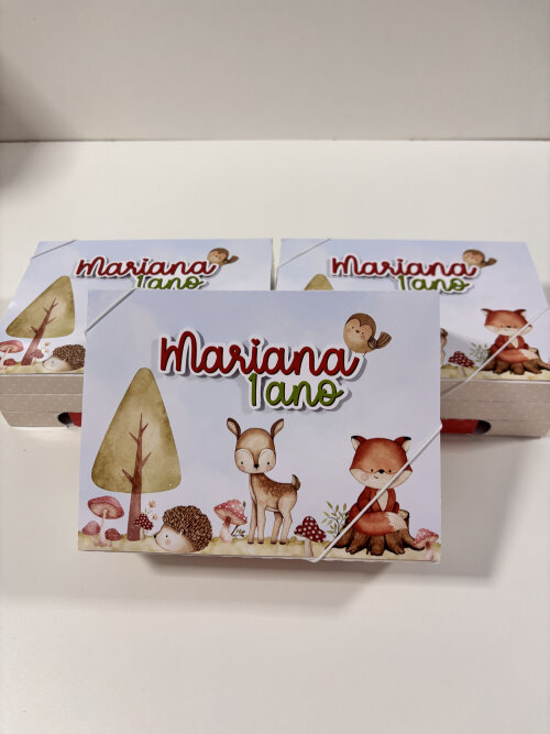 Kit Diversão Bosque Encantado Menina