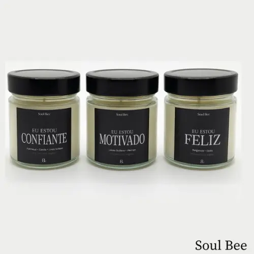 Kit de Trio de Velas Aromáticas Coleção Eu Estou