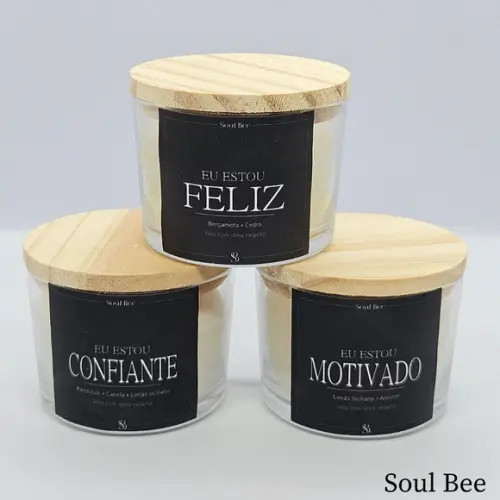 Kit de Trio de Velas Aromáticas Coleção Eu Estou