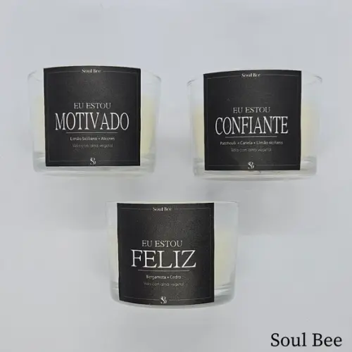 Kit de Trio de Velas Aromáticas Coleção Eu Estou