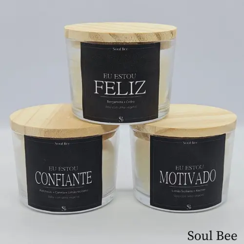 Kit de Trio de Velas Aromáticas Coleção Eu Estou